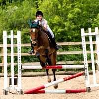 Blue Barn 17/5/14 - Schooling and a Labradoodle