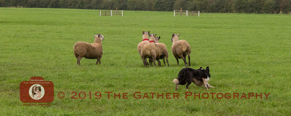Run 121 Mr G Redpath with Hobson (337834)