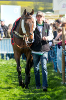 Race 3