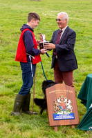 Young Handlers